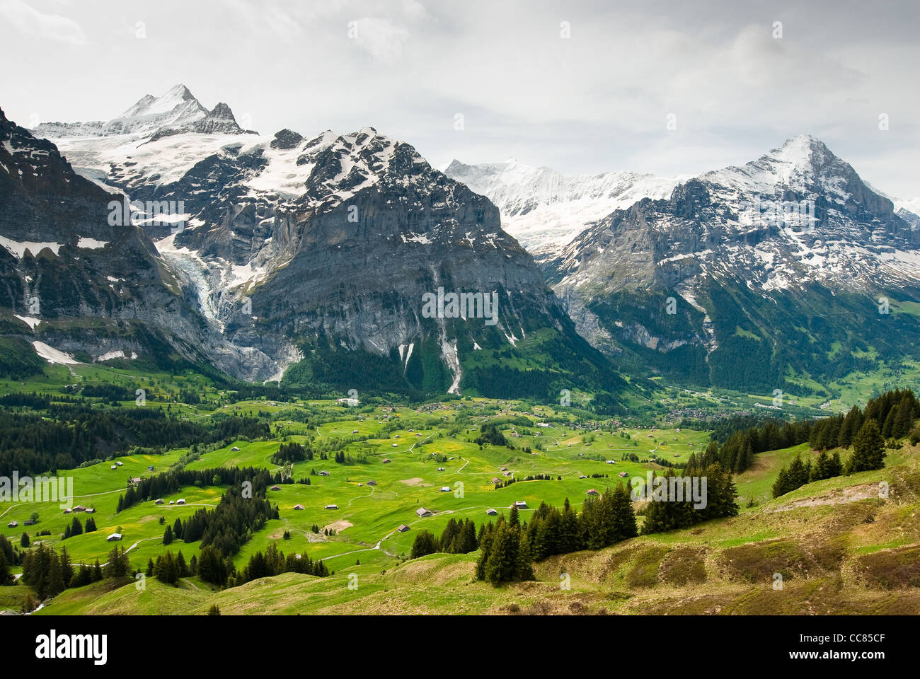 scenic view over grindelwald with Eiger and Schreckhorn mountain peaks