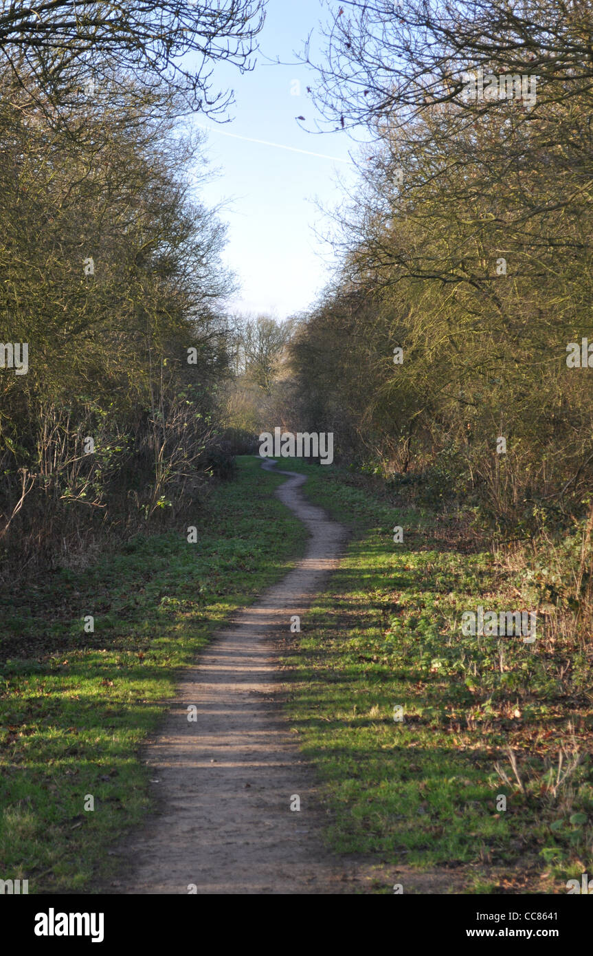 HS2 Offchurch Warwickshire, the railway will travel across here, left to right cutting the path in two. Stock Photo