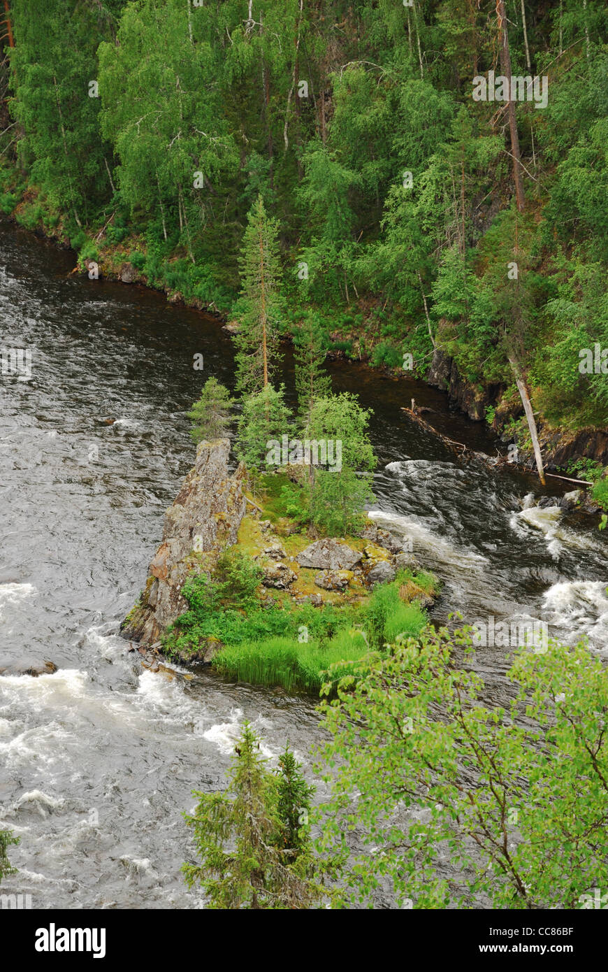Rapid river with small island in taiga forest, Juuma, Finland Stock Photo