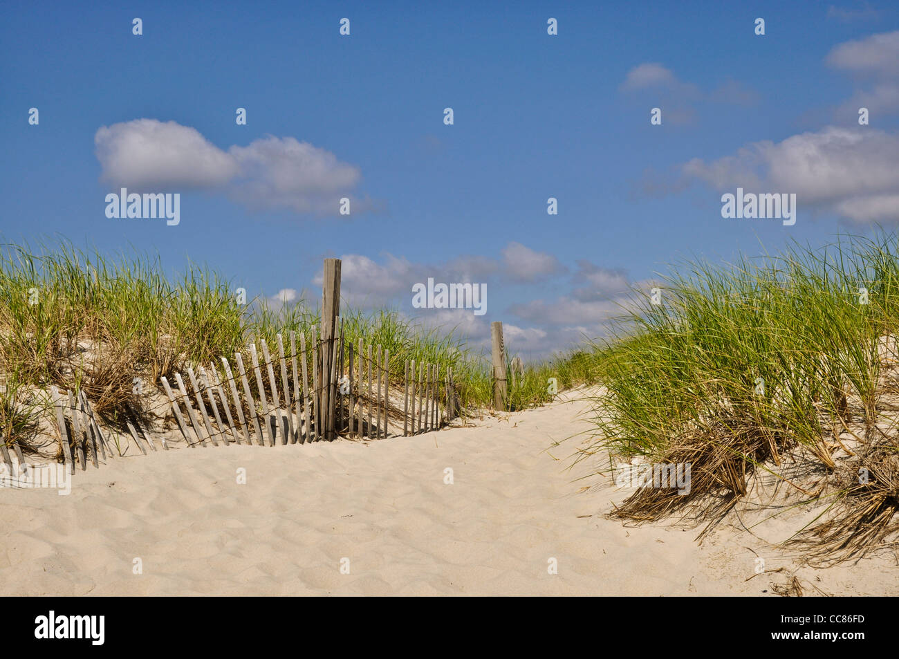 Island beach state park new jersey hires stock photography and images