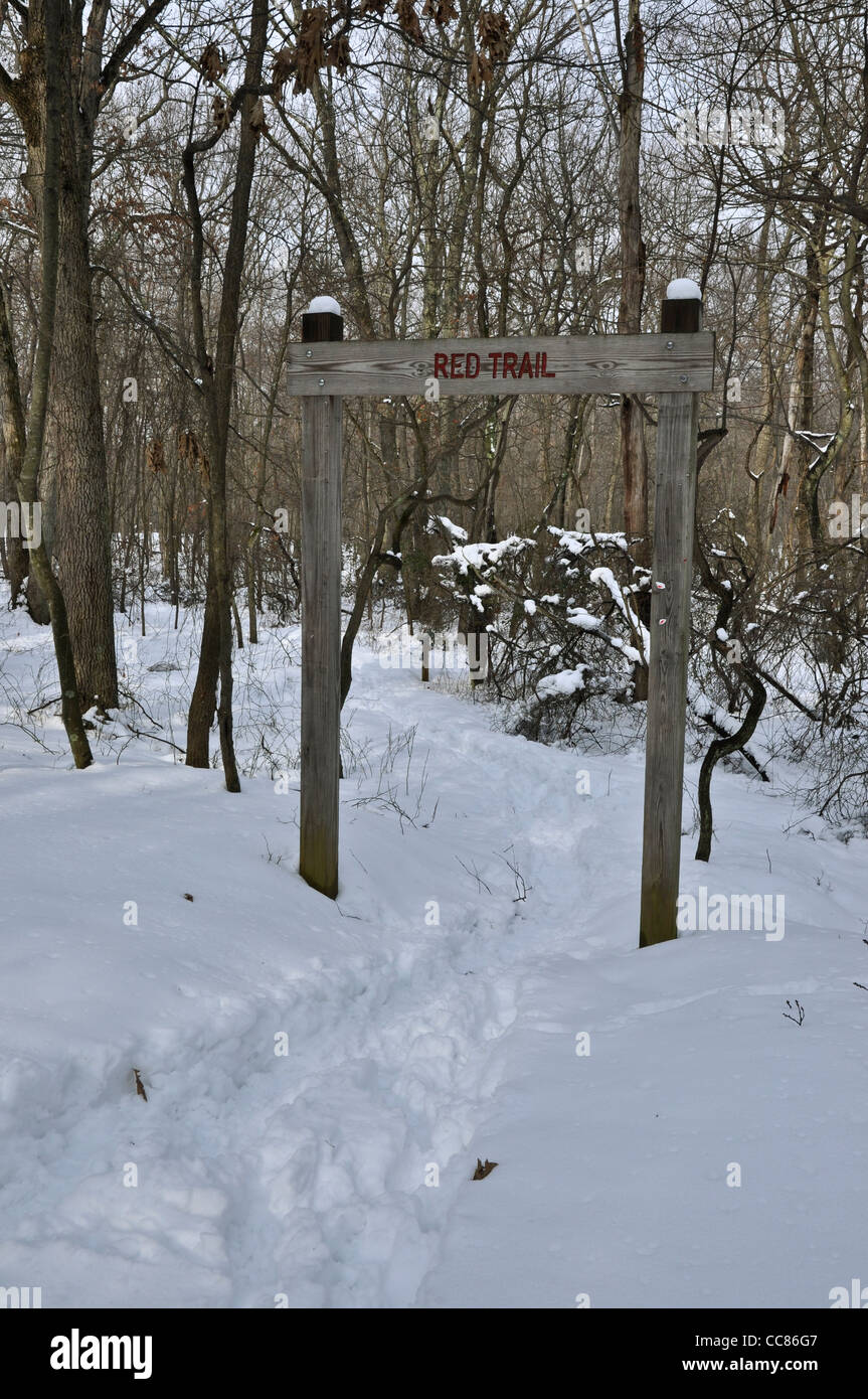 Trail head sign on snow covered path in woods Stock Photo