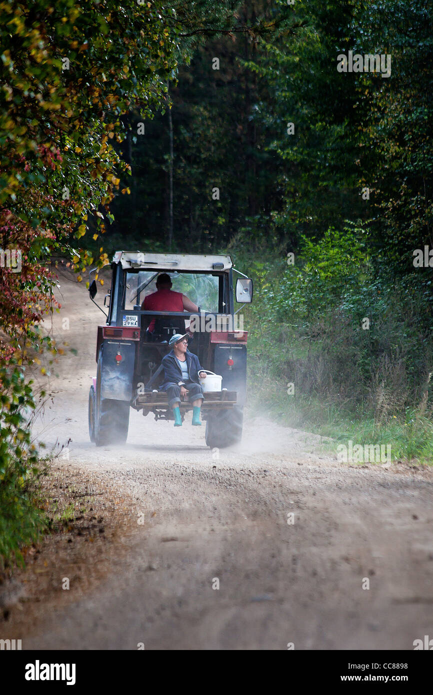 Vintage truck road hi-res stock photography and images - Alamy