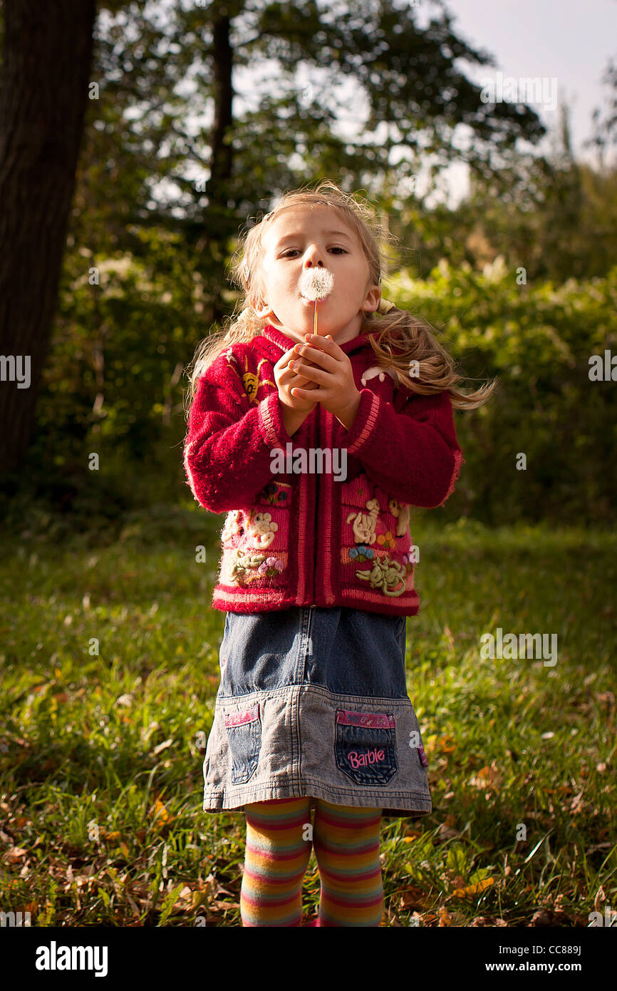 little girl in red jumper with dandelion Stock Photo Alamy
