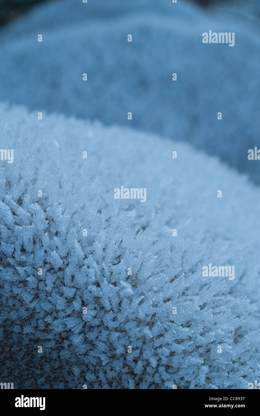 Frost covering a stone Stock Photo Alamy