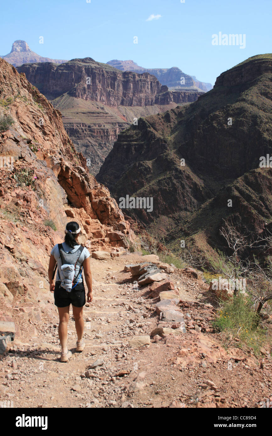 woman hiking the Bright Angel Trail, Grand Canyon, Arizona Stock Photo
