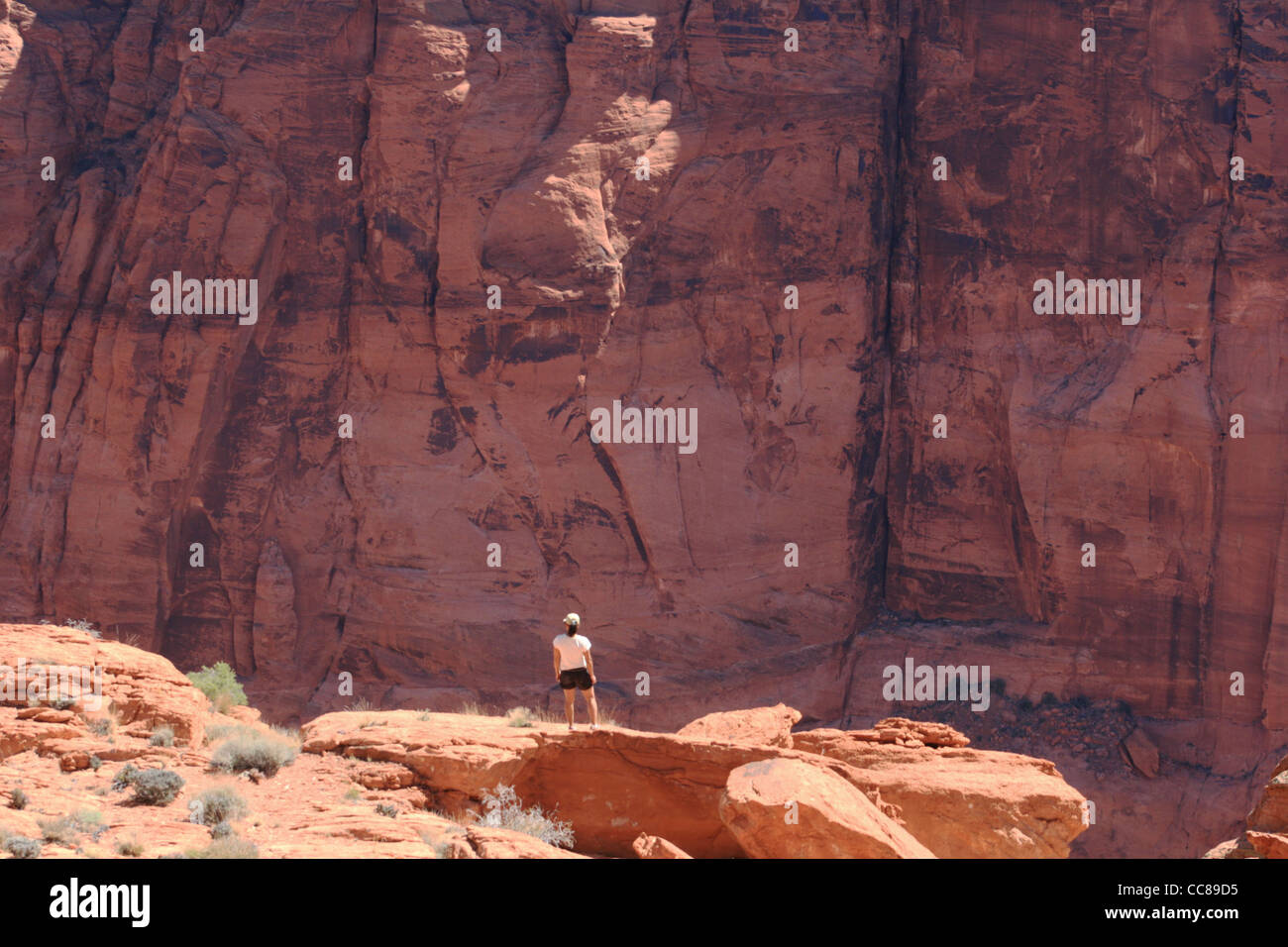 woman looks into Glen Canyon from an overlook Stock Photo