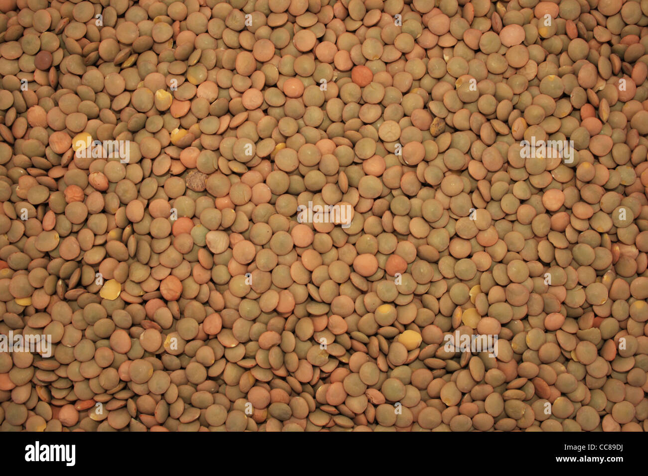 dry lentil, pulse, or daal background Stock Photo