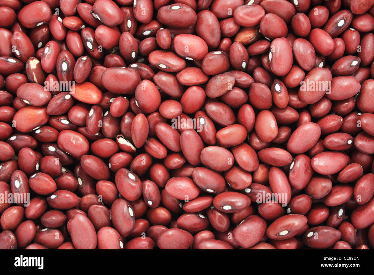 Local Dried Small Red Kidney Beans