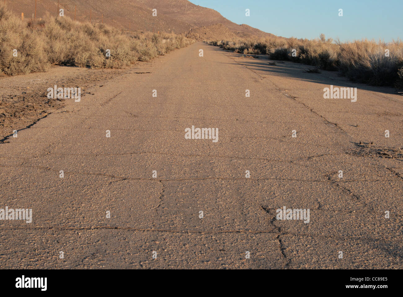 old paved desert roadway at sunrise with cracks and plants starting to come through Stock Photo