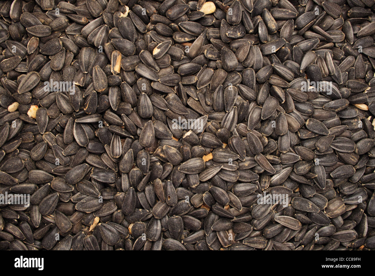 background of black oil sunflower seeds Stock Photo - Alamy