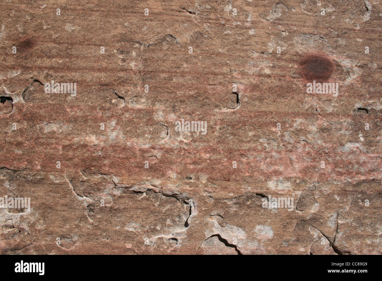 flaking sandstone background surface with red spots Stock Photo Alamy