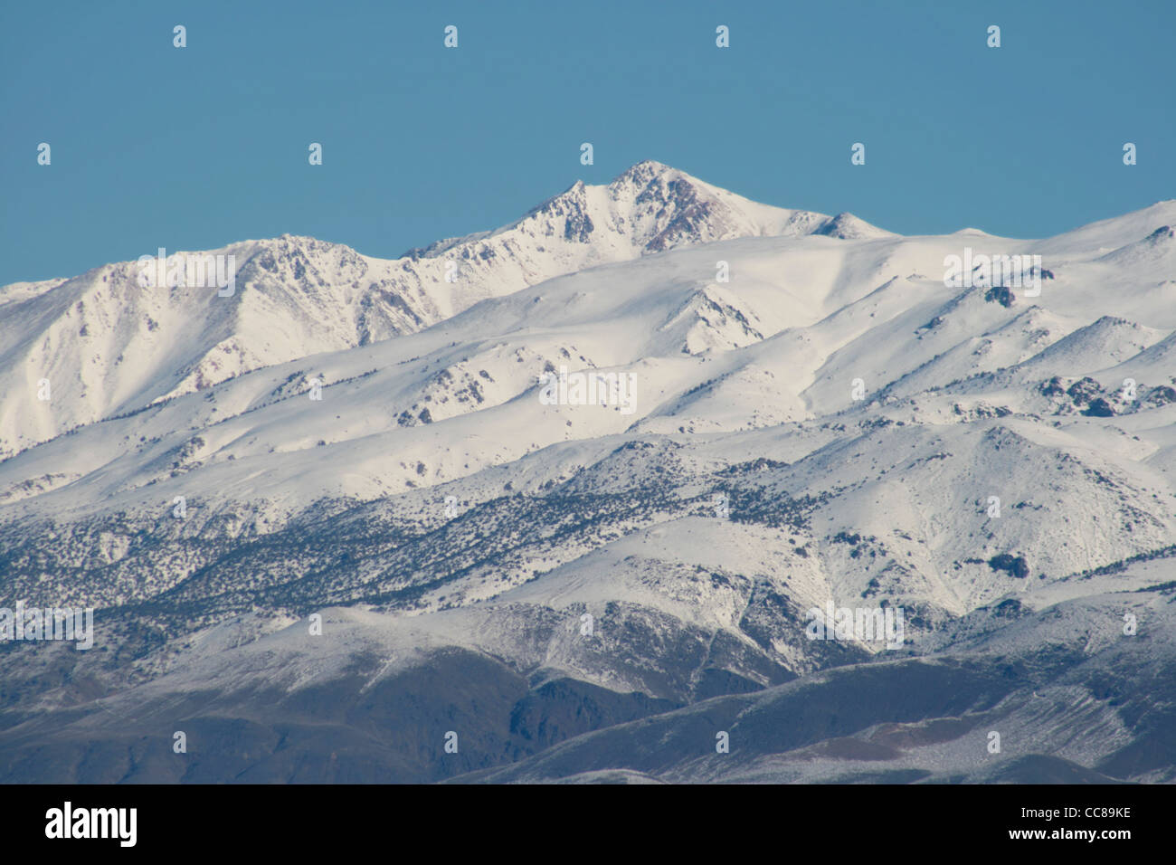 White mountain in California in the early morning covered with snow with blue sky background Stock Photo