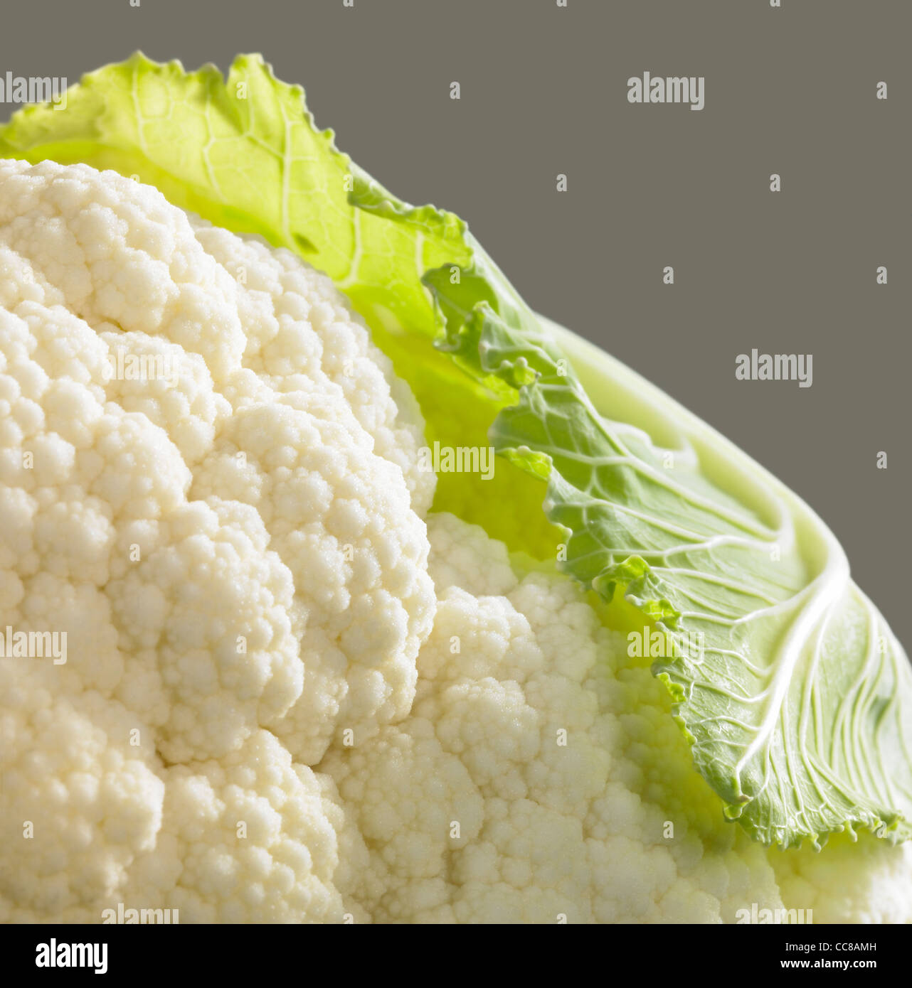 detail studio shot of a cauliflower and leaf in grey back Stock Photo ...