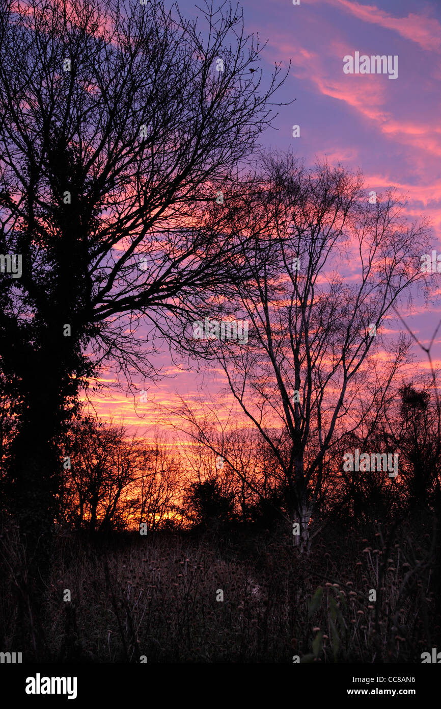 December sunrise over Holbrook Garden in Devon Stock Photo