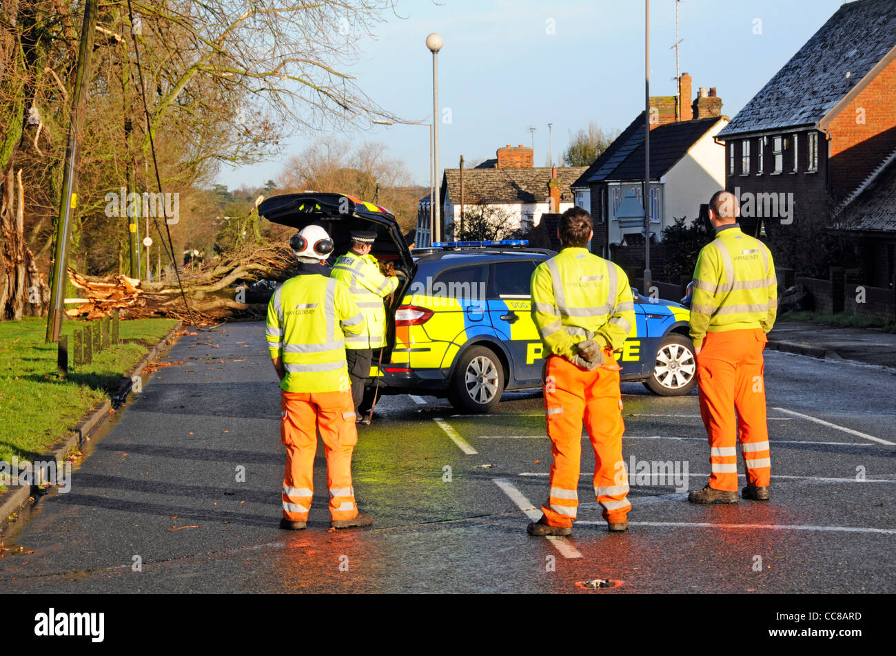 Workmen wait electricity disconnection team tree blown over in winter storm fallen tree live cables road closed police car attending Essex England UK Stock Photo