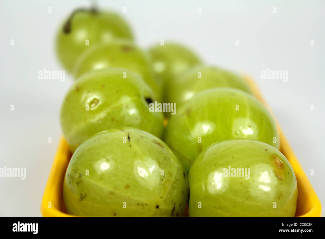 Gooseberry fruit ;bi nomial name Ribes uvacrispa Stock Photo Alamy