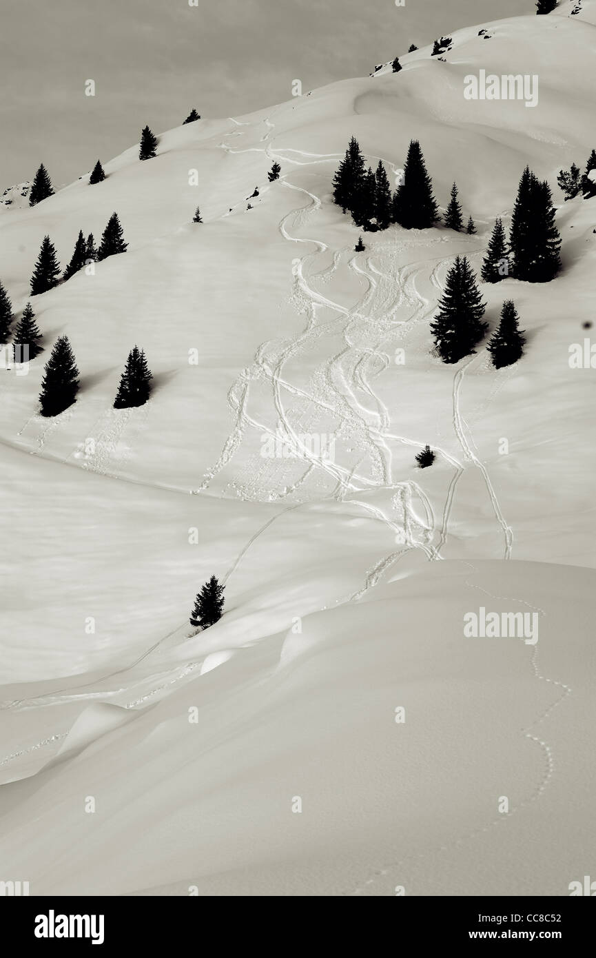 Paths in fresh snow - Cari' Ticino Switzerland CH Stock Photo