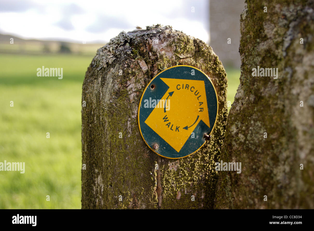 A footpath sign near Goldsborough Rigg on the Pennine Way,  Baldersdale, Teesdale, County Durham, England Stock Photo