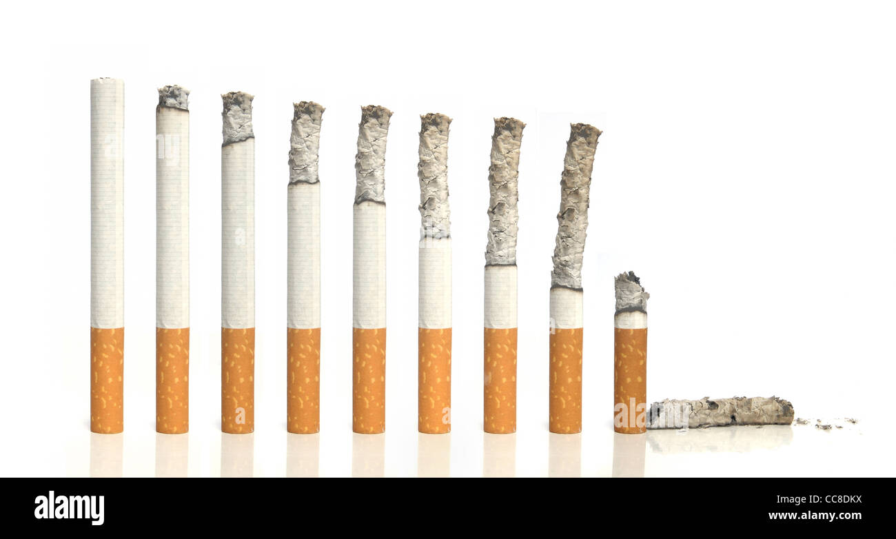 Burning cigarettes in a row on white background Stock Photo