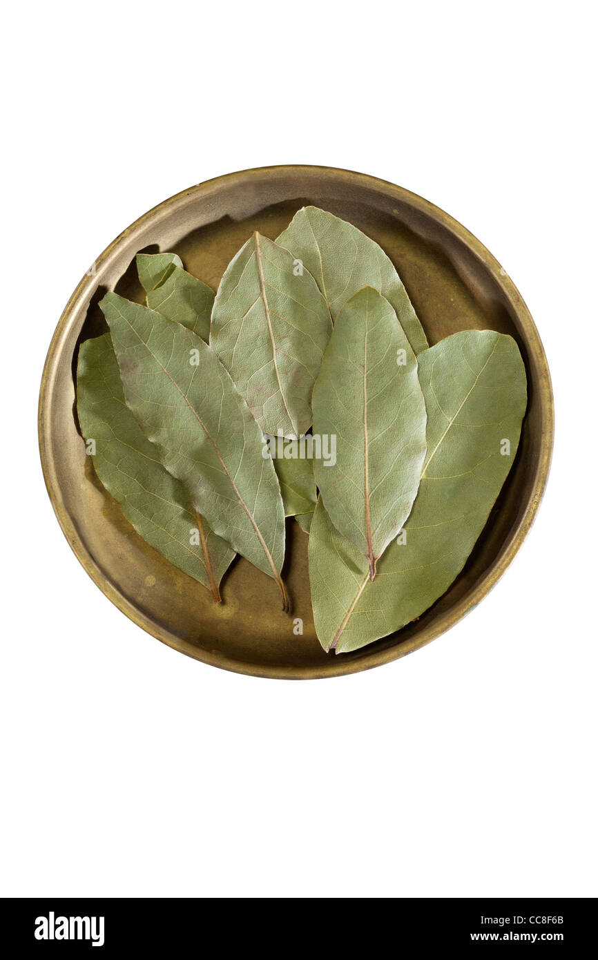 Bay Leaves Stock Photo
