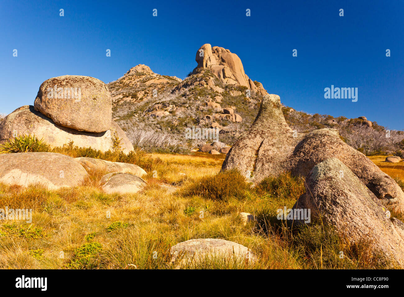 The granite outcrops of the Cathedral and the Hump at Mount Buffalo, Mount Buffalo National Park, the Victorian Alps in north east Victoria, Australia Stock Photo
