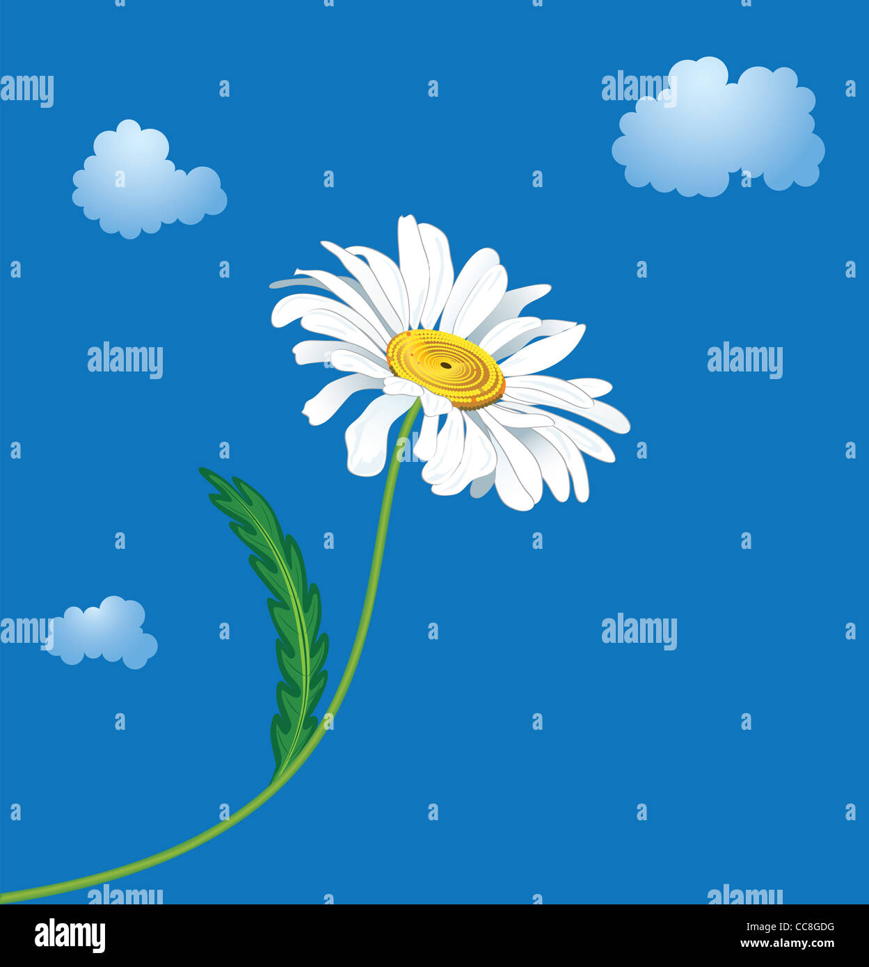 Ox eye daisy illustration hires stock photography and images Alamy