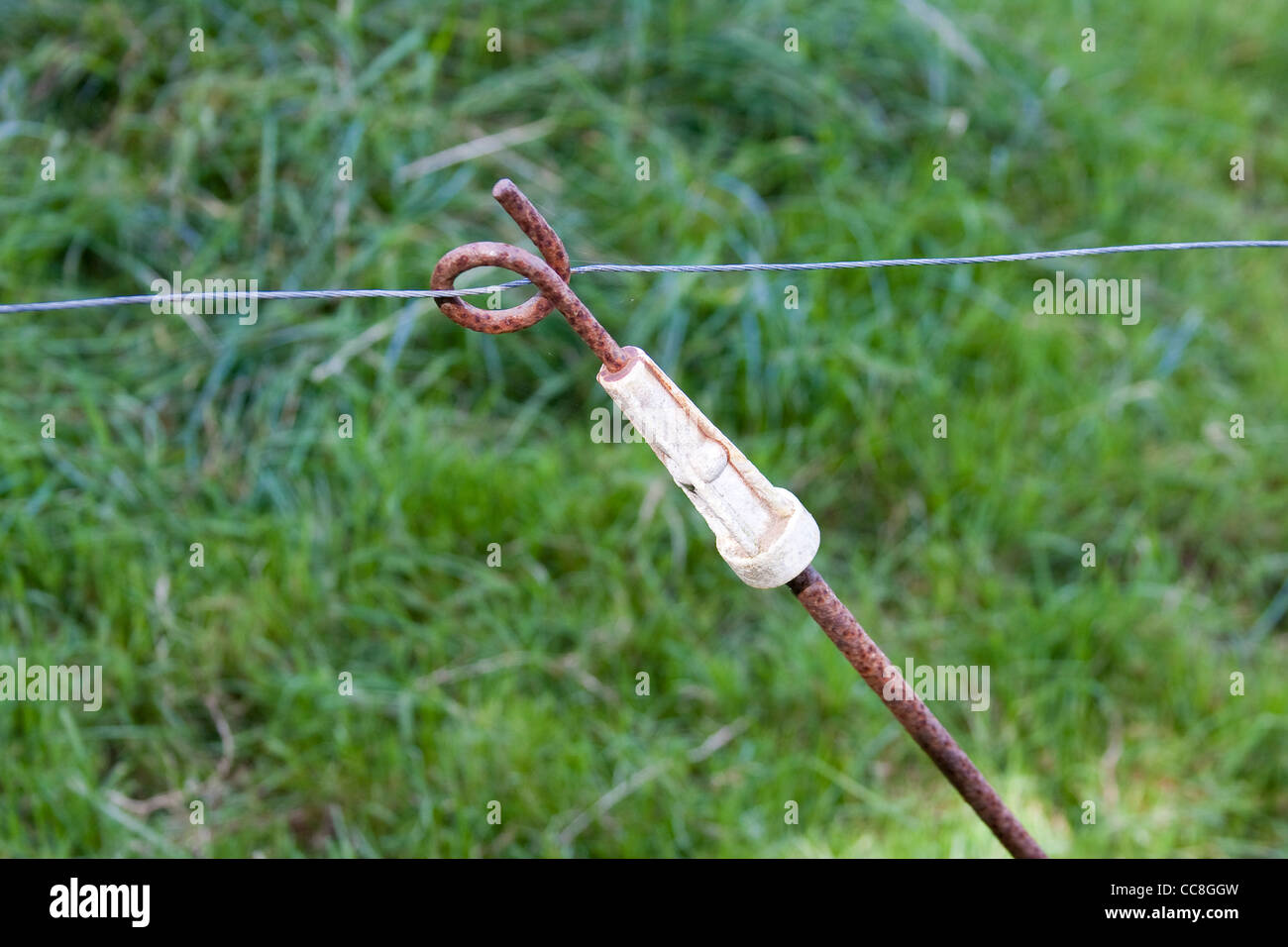 Detail of Electric Fence Wire with Rusty Support Rod and White Insulator Stock Photo