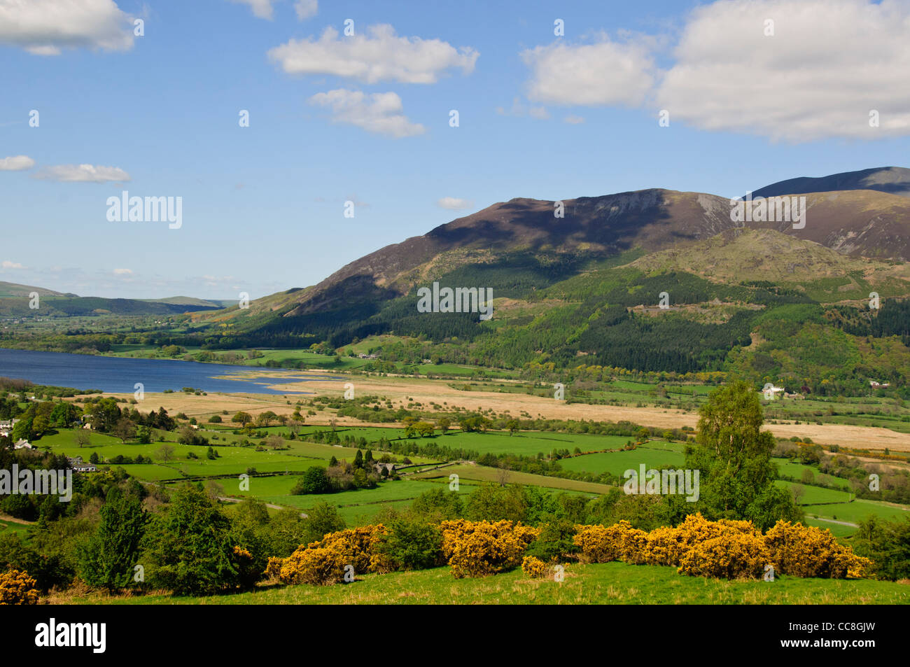 Bassenthwaite,Biggest Lake,Recreation Area,fishing,walking,hiking,Camping,Lake District,County of Cumbria,Great Britain,UK Stock Photo