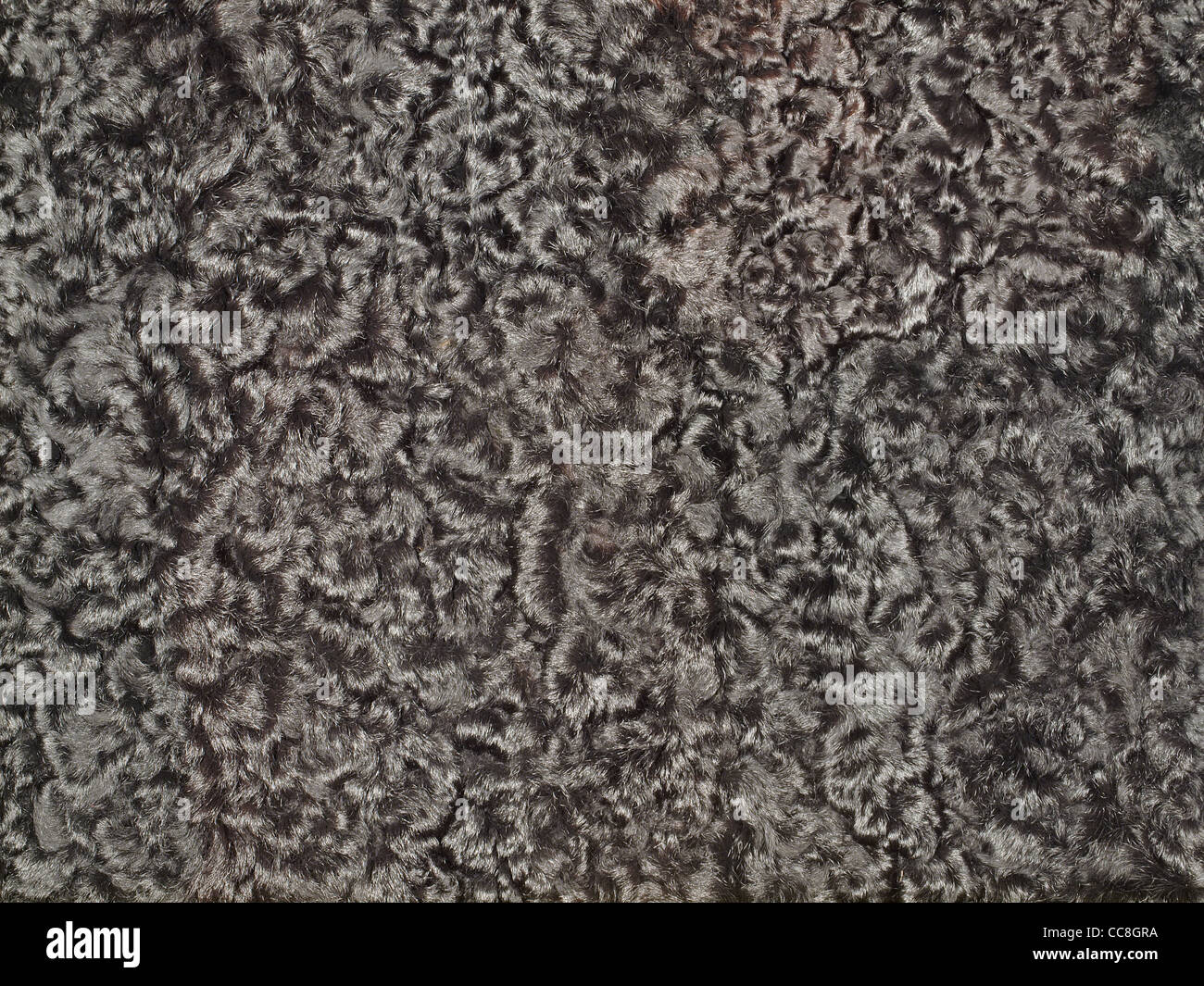 Karakul Texture Close up of a black karakul texture Stock Photo