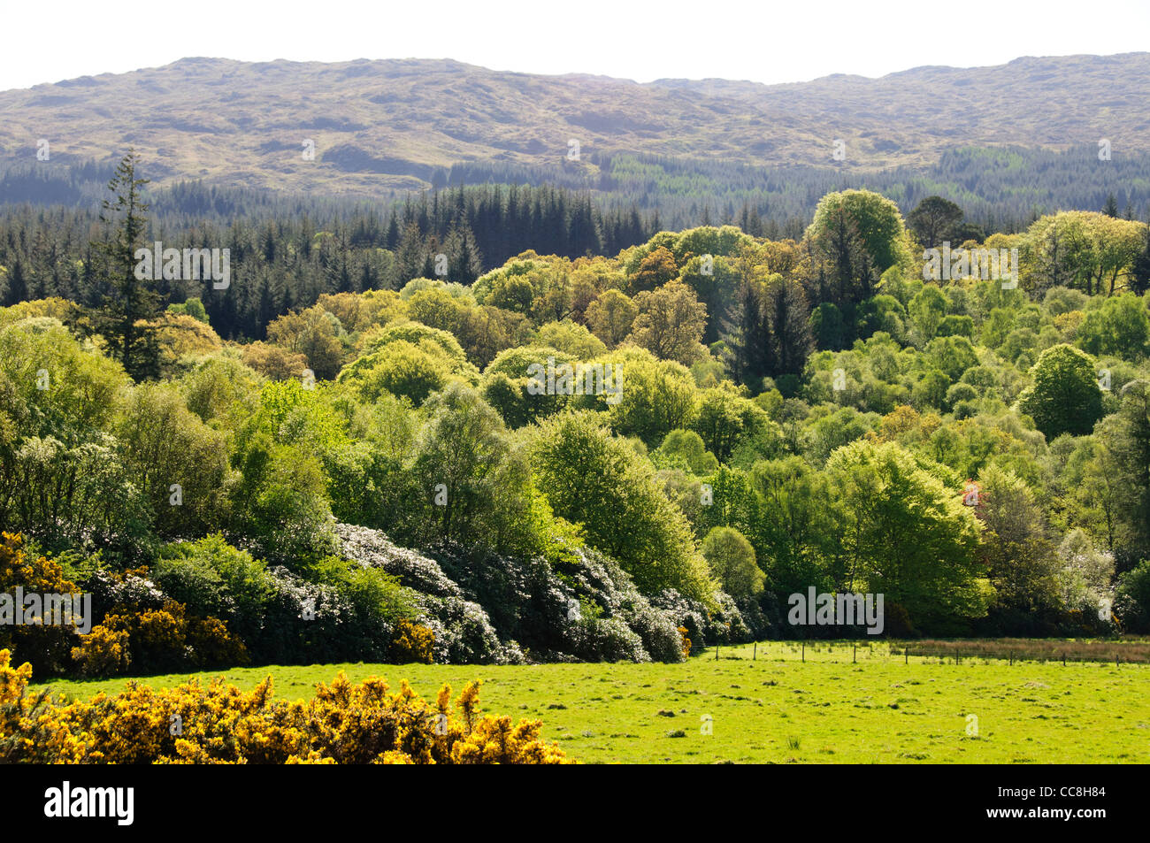 Benderloch is a village in Argyll and Bute,Scotland.Benderloch lies on