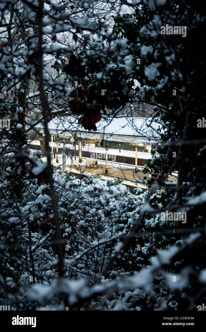 Barnes station in snow through foliage, London Stock Photo