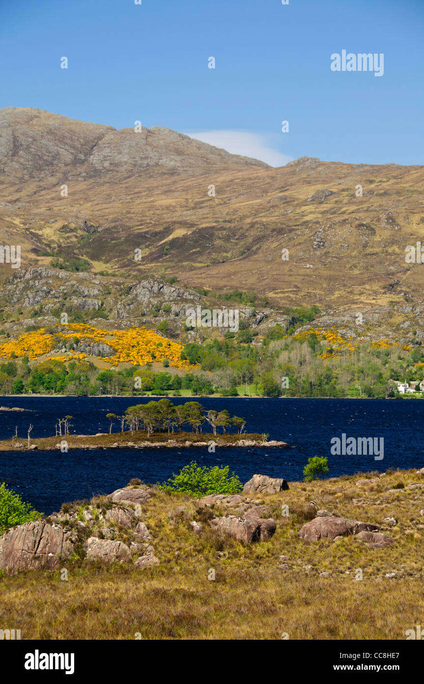 Letterewe,Loch Maree, Islands,Wildest,Remote Area of Scotland,Estate