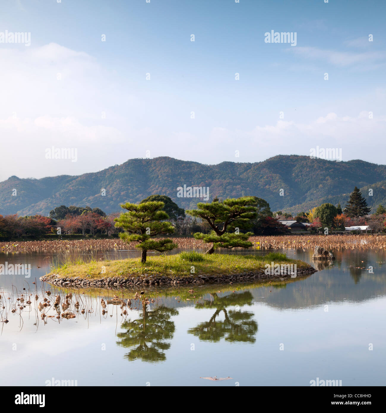 Osawa Pond in the Daikaku-ji  temple complex in Sagano on the western outskirts of Kyoto. Stock Photo