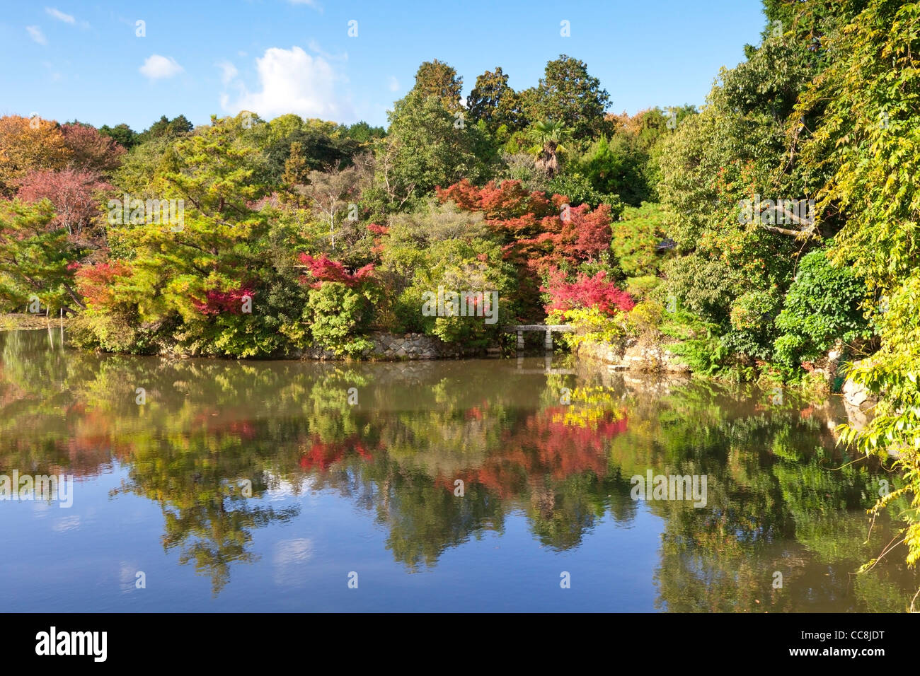 Reflection in Kyoyochi Pond in the grounds of Ryoan-ji temple, Kyoto, Japan, seen in Autumn. Stock Photo