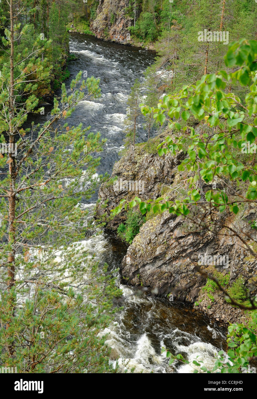 Rapid river with stony riversides in taiga forest Stock Photo