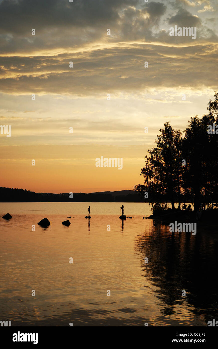 Forest lake at sunset Stock Photo - Alamy