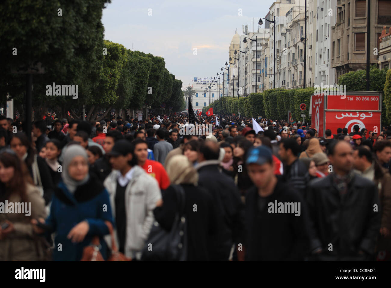 celebration, tunisia, revolution, anniversary, people, Stock Photo