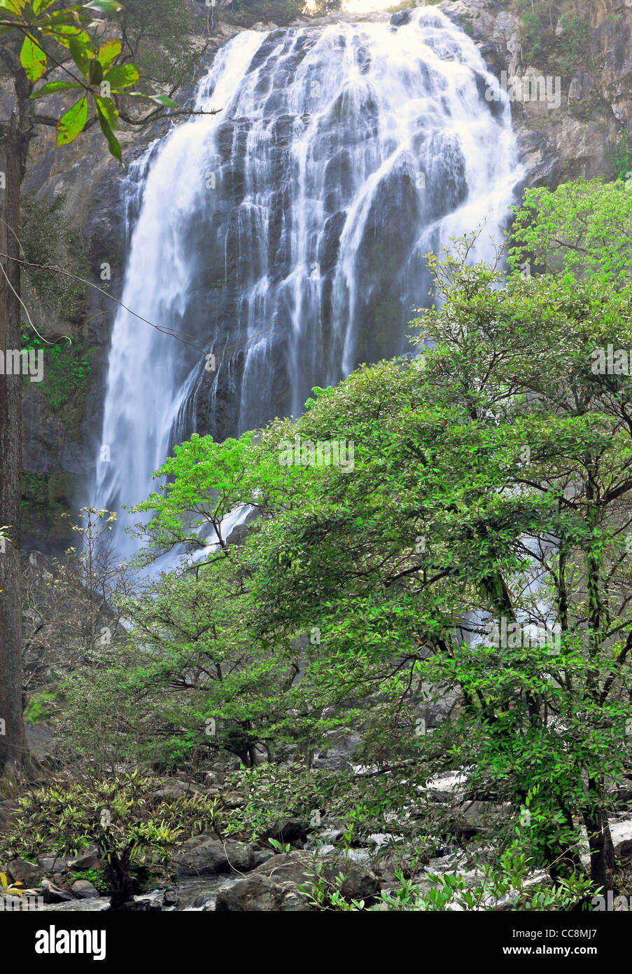 waterfall Stock Photo