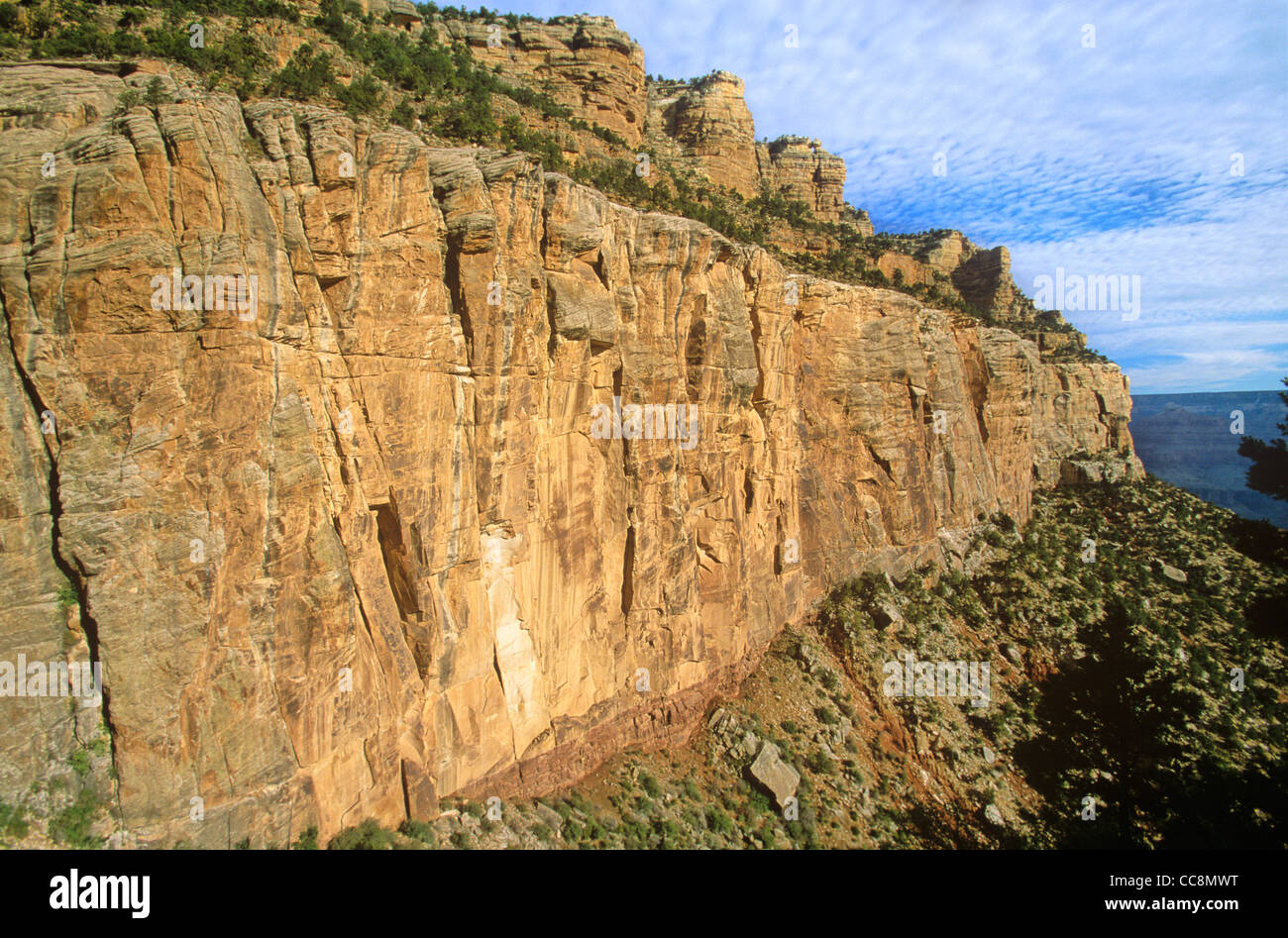 Cliff of Coconino Sandstone viewed from Bright Angel Trail, below the