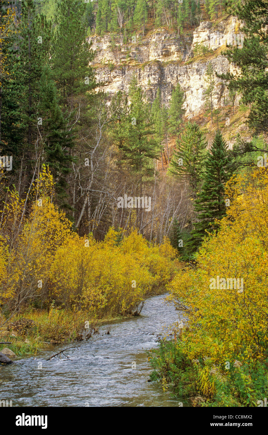 Spearfish Canyon in Black Hills National Forest, south of Spearfish, South Dakota, AGPix 0644 Stock Photo