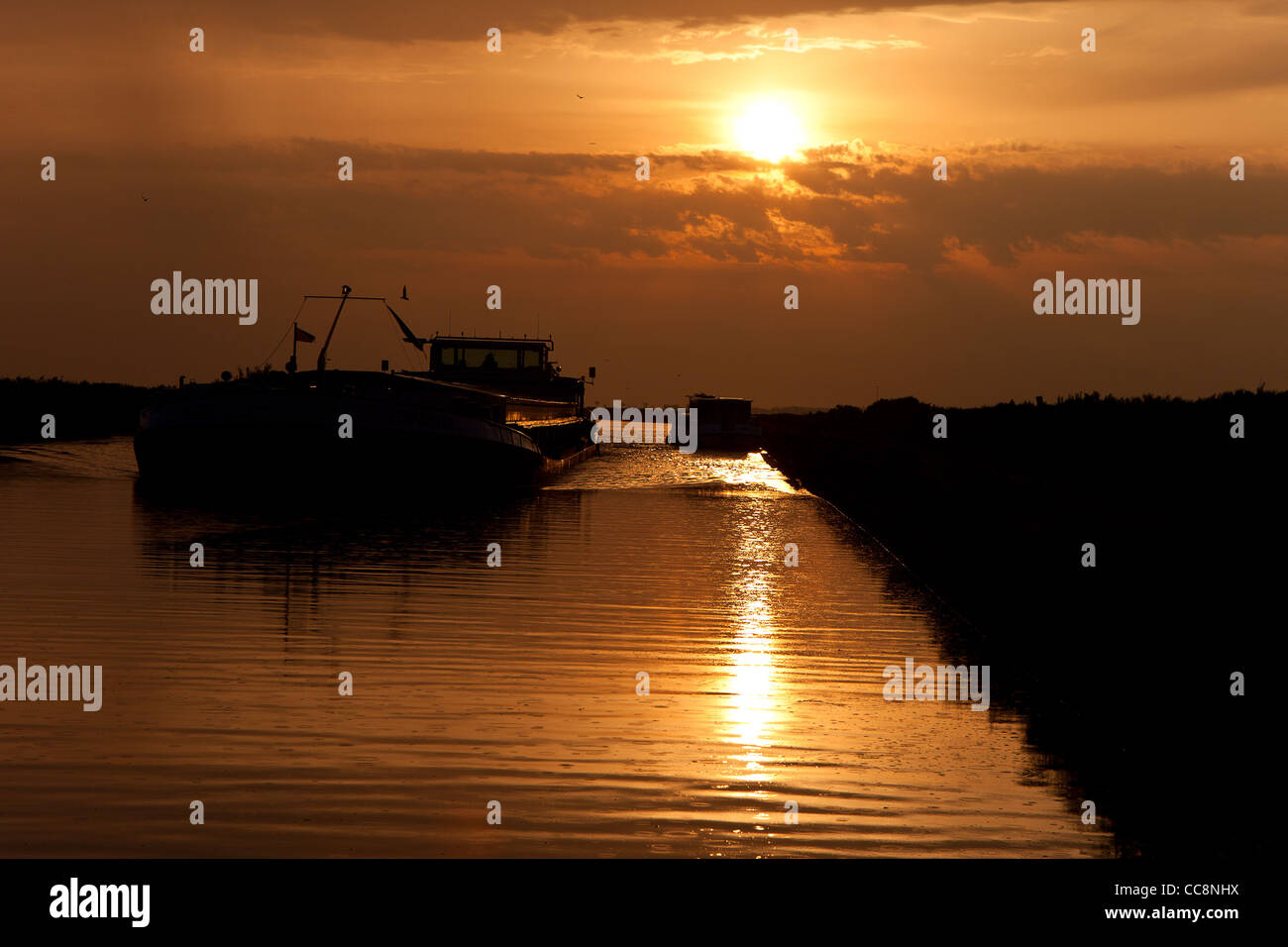 the ship sails on the river at sunrise Stock Photo - Alamy