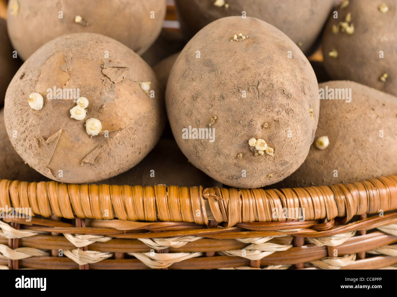Raw potato in a wicker wooden basket Stock Photo