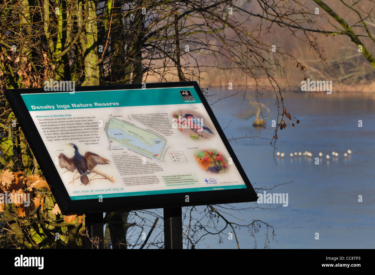 Denaby ings nature reserve, part of Yorkshire Wildlife Trust Stock Photo