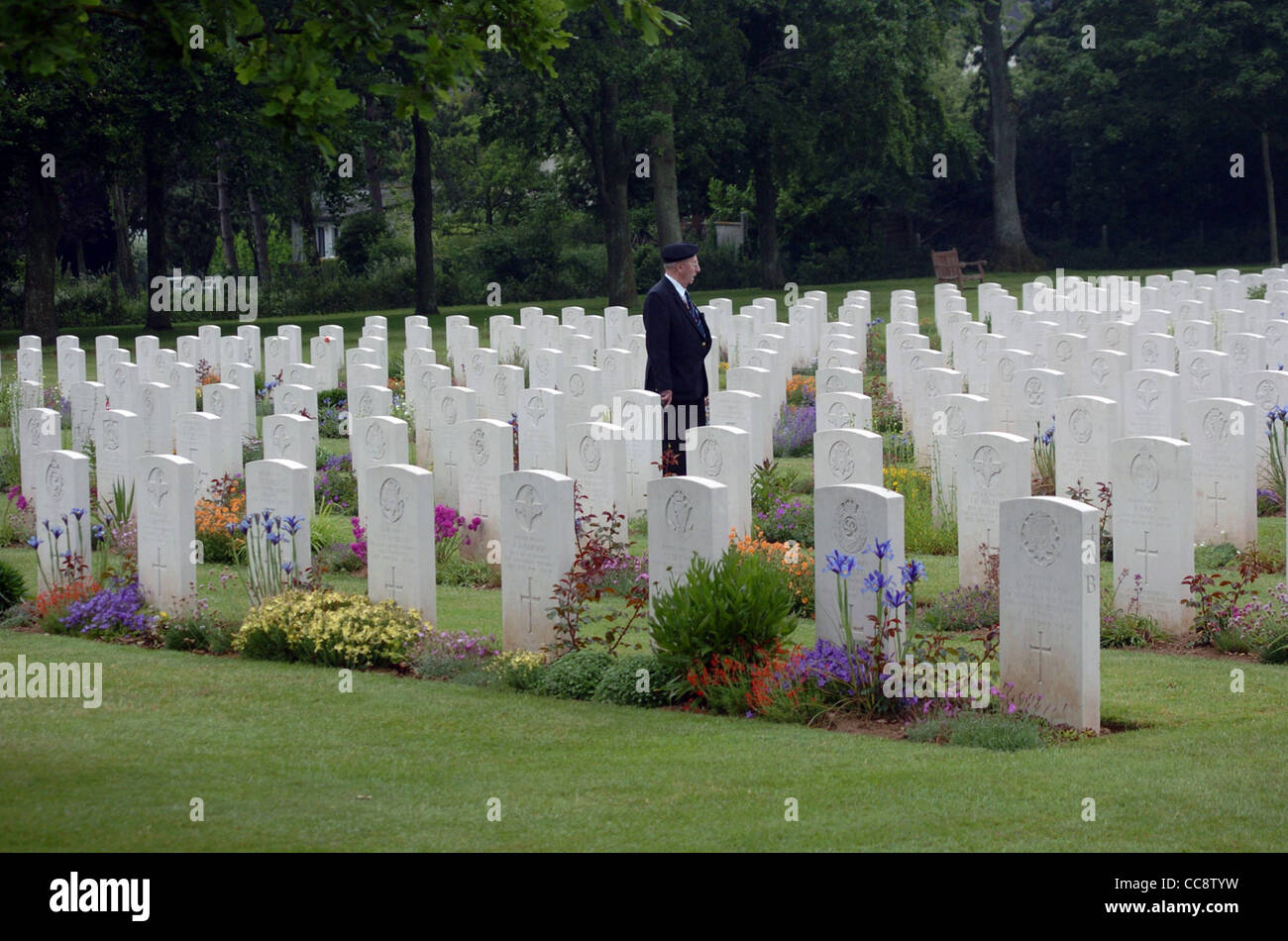 Royal British Legion poppy Stock Photo - Alamy