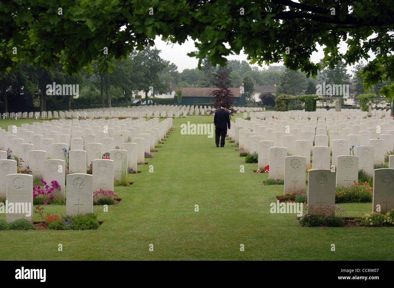 Royal British Legion poppy Stock Photo - Alamy