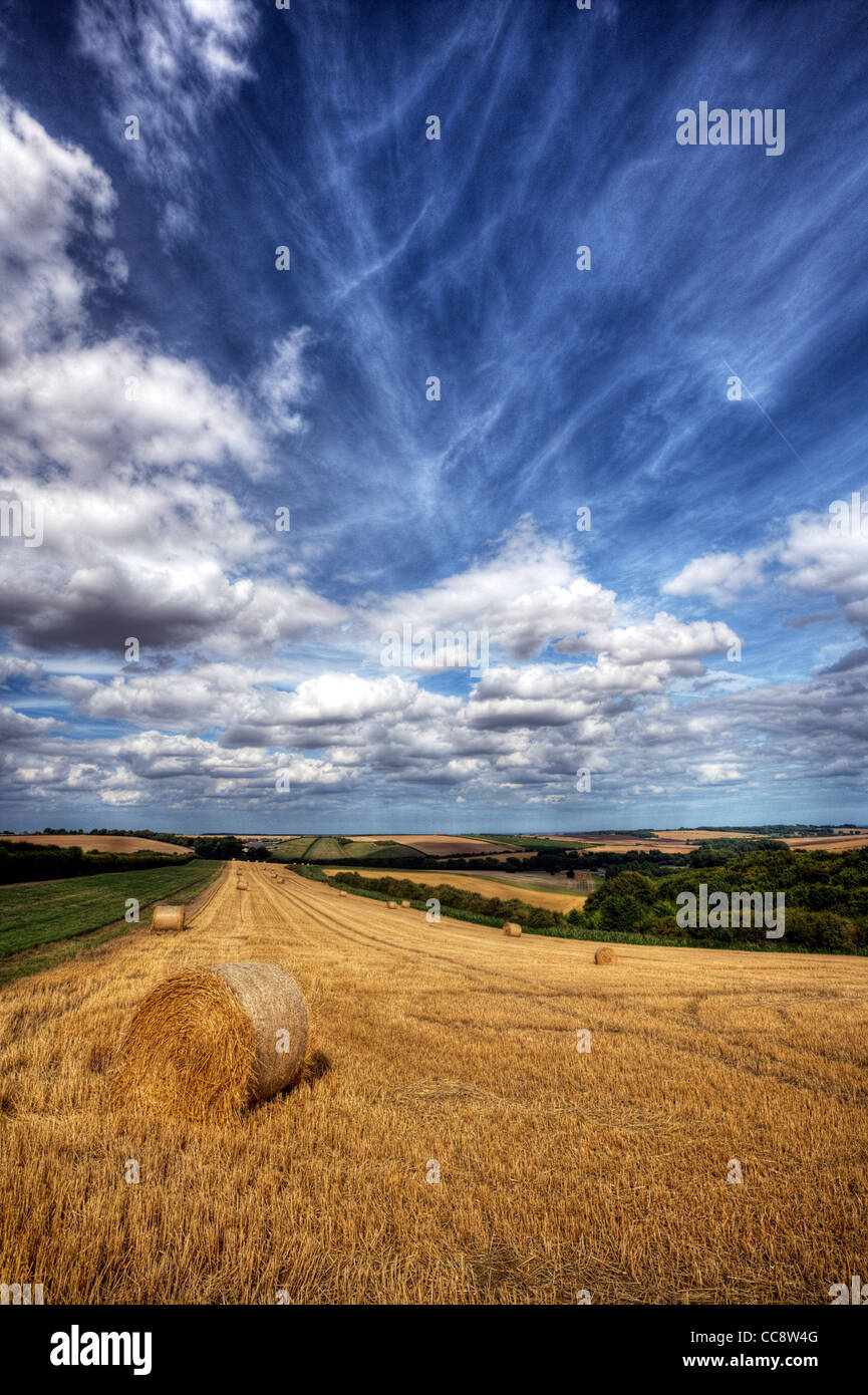 Roll of hay, straw for cattle feed on Lincolnshire Wolds freshly cut crops of wheat farm land farmland Stock Photo