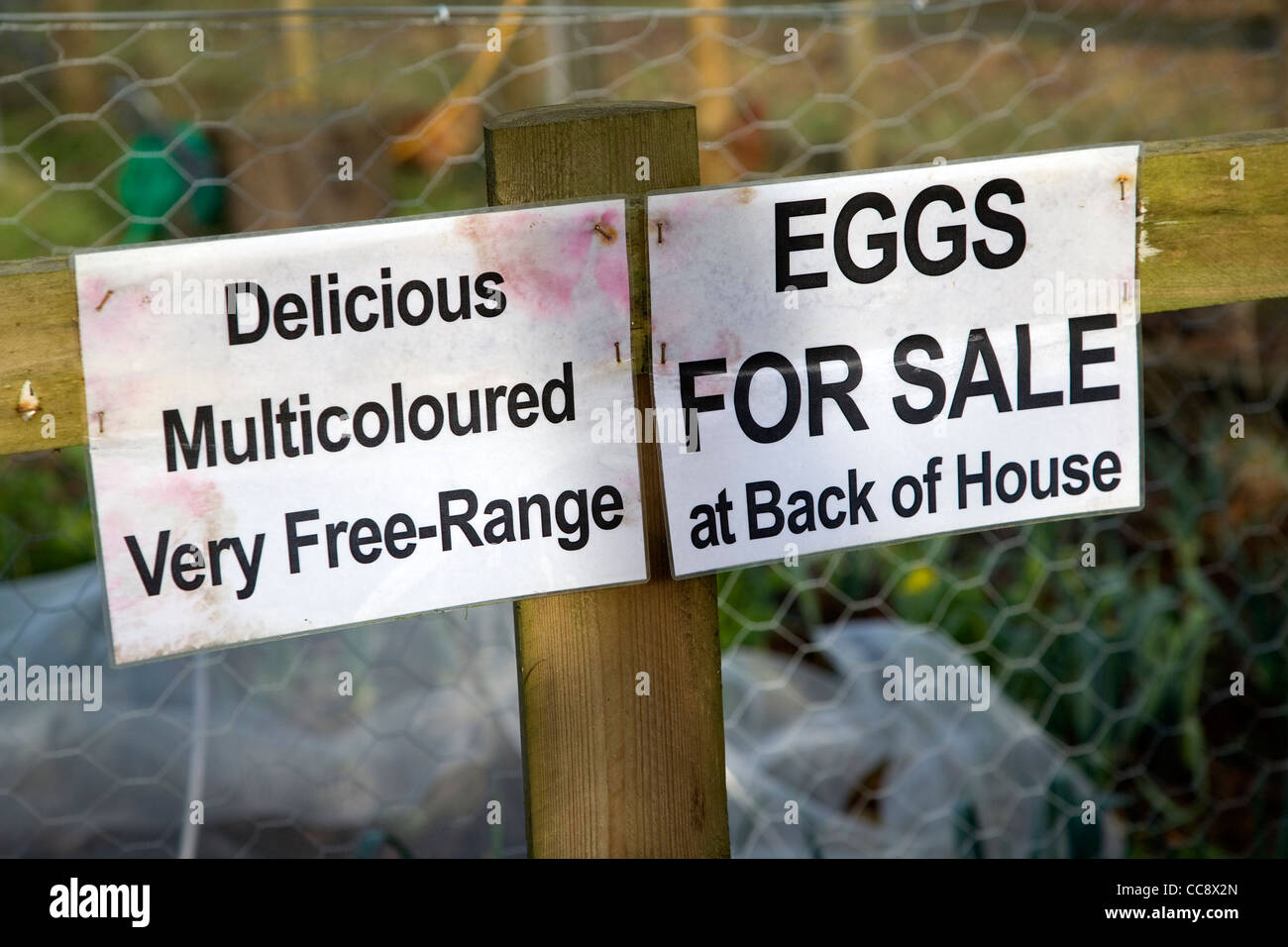 Free Range Eggs For Sale Sign Stock Photo Alamy