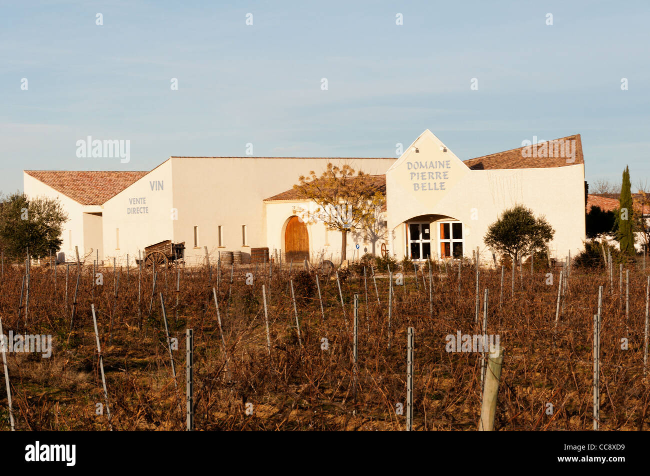 Domaine Pierre Belle wine producers near Beziers, Languedoc in the South of France. Stock Photo