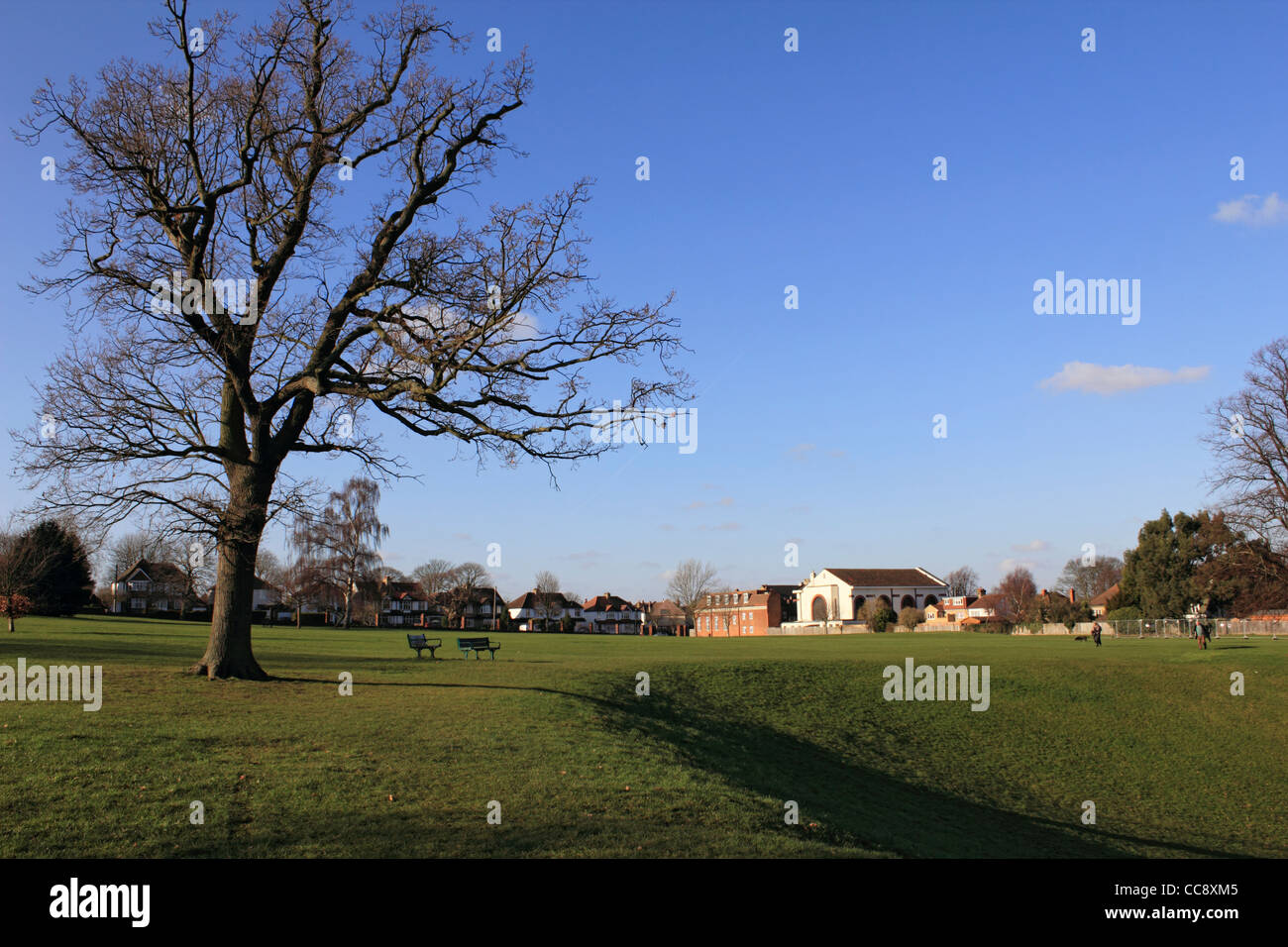 carshalton-park-in-the-london-borough-of-sutton-england-uk-stock-photo