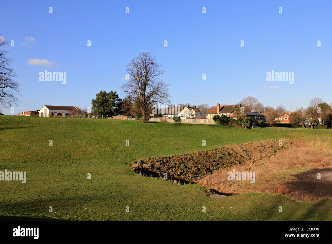 carshalton-park-in-the-london-borough-of-sutton-england-uk-stock-photo